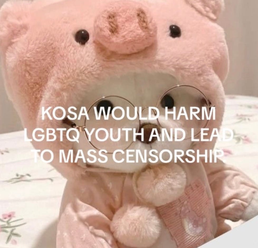 An image of a stuffed bear wearing a pink pig costume. Overlay text reads "KOSA WOULD HARM LGBTQ YOUTH AND LEAD TO MASS CENSORSHIP"